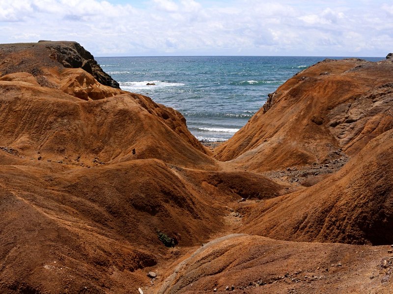 La Savane des Pétrifications