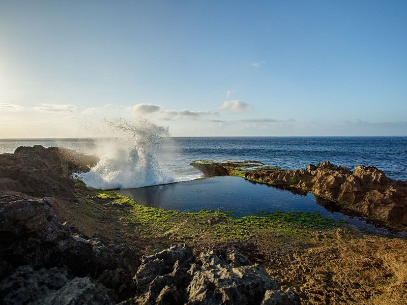 Admirer Devil’s Tear 