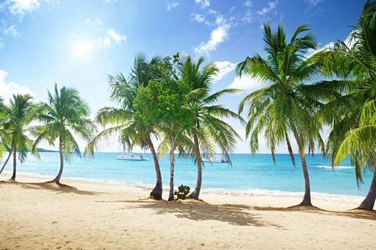 Île Catalina