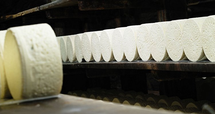 Les caves de Roquefort