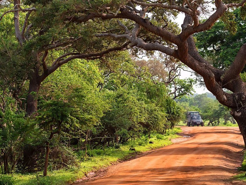 Parc National de Yala