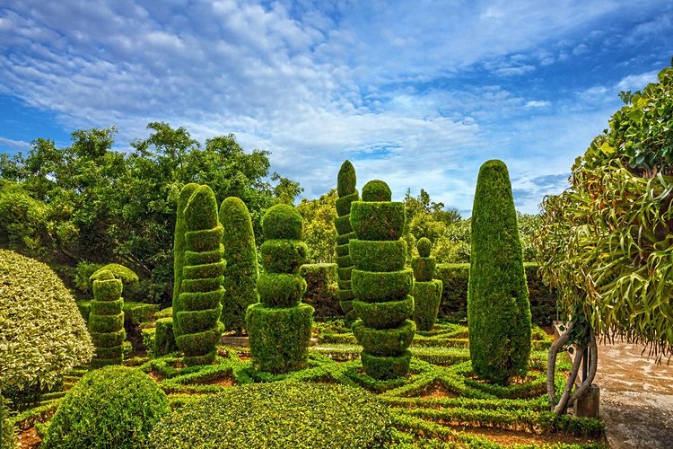 Explorer les éclatants Jardins tropicaux de Monte Palace 3