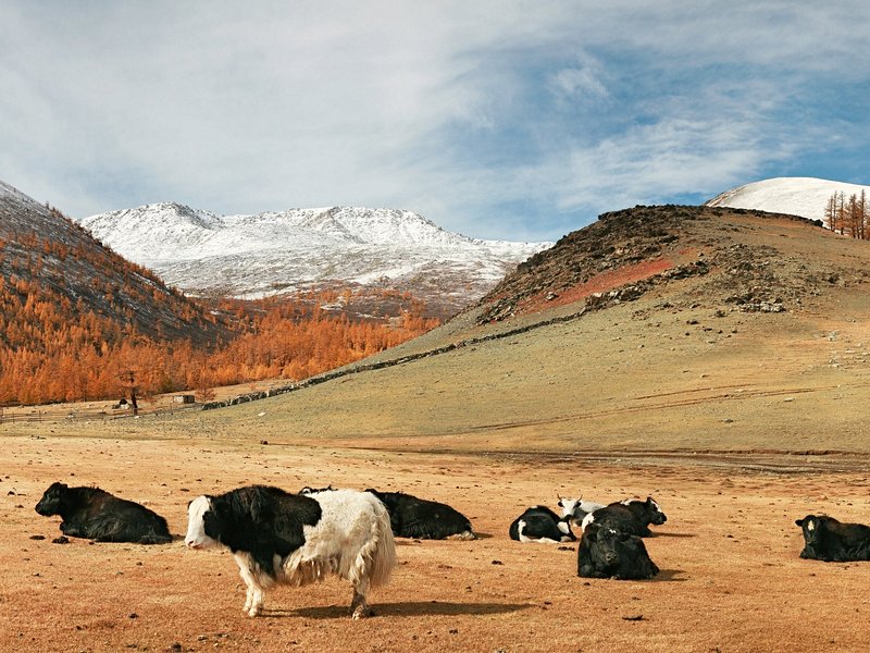 Parc national de l'Altaï Tavan Bogd