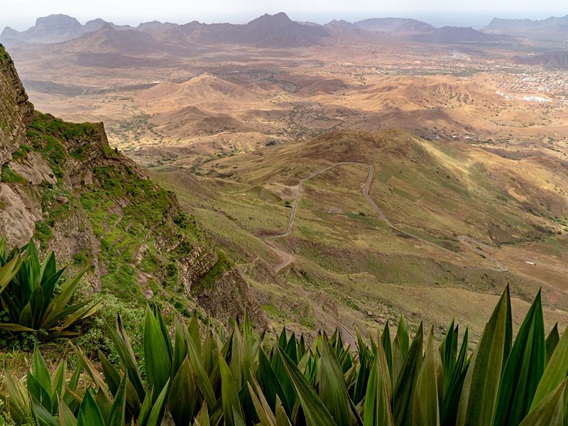 Monte Verde
