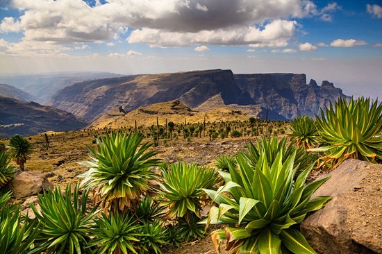 Parc national du Simien