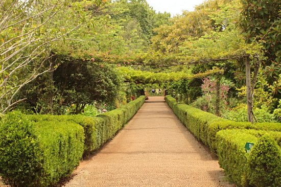 Jardins de Palheiro