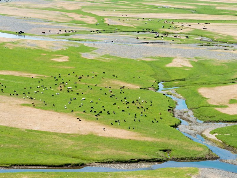 Vallée de l'Orkhon