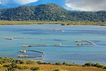 Réserve naturelle de la baie de Kosi