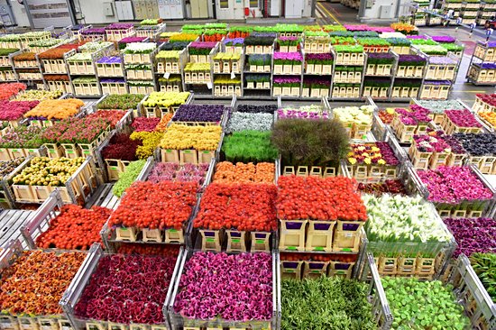 Marché aux fleurs d'Aalsmeer
