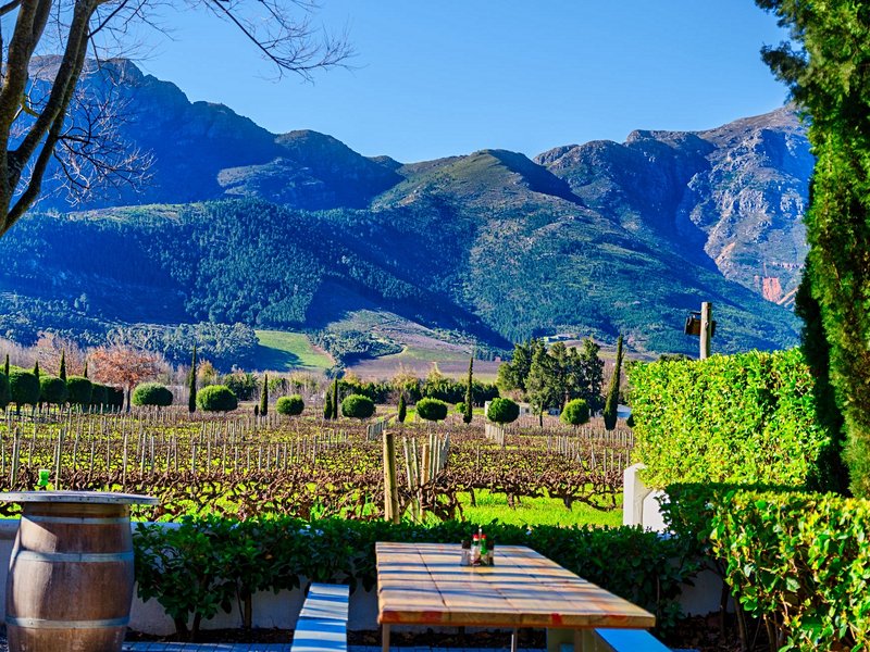 Les Vignobles