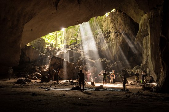 Le parc national de Taman Negara