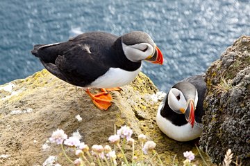Îles Skellig