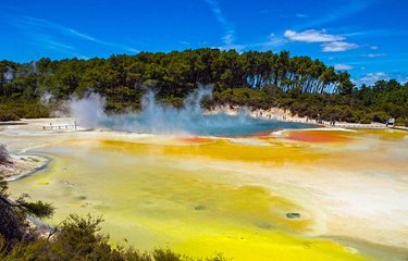 Sources géothermiques à Rotorua
