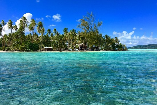 Tahaa