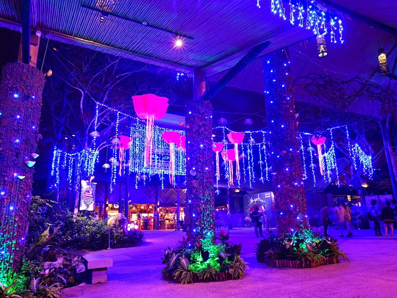 Le zoo et le Night Safari