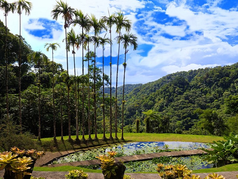 Jardin de Balata