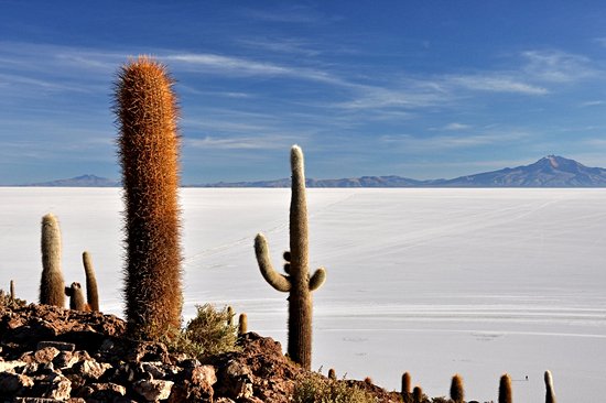 Salar d'Uyuni
