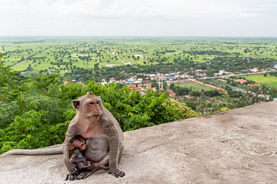 Phnom Sampeau