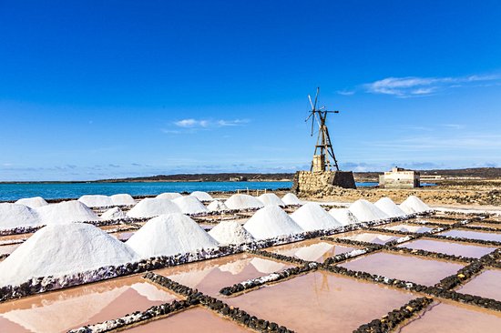 Salines de Janubio