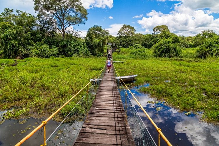 Le parc national du Pantanal 4