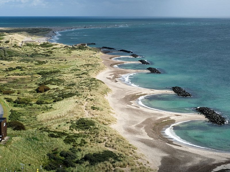 Grenen