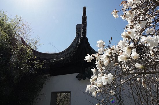 Snug Harbor Cultural Center & Botanical Garden