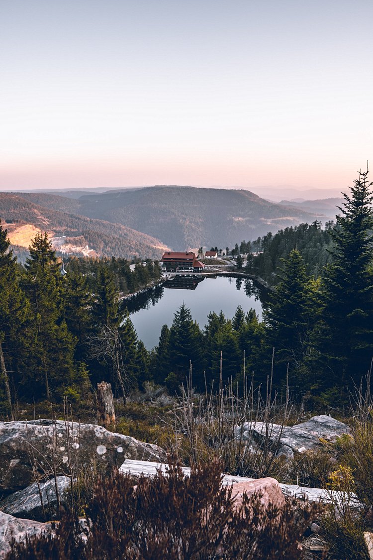 La rando bucolique : le Hornisgrinde 2