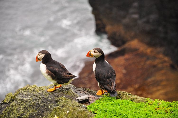 Skellig Michael 3