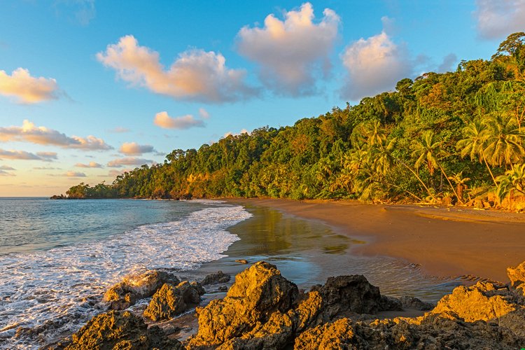 Tendance absolue : Tamarindo 3
