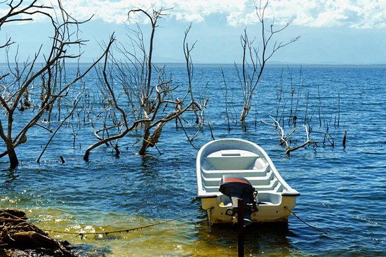 Lac Enriquillo