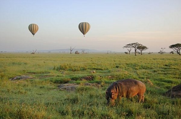 Survoler les plaines du Serengeti en montgolfière