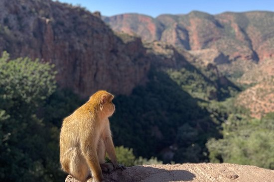 Les excursions autour de Marrakech