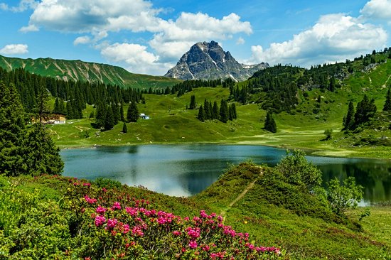 Bregenzerwald