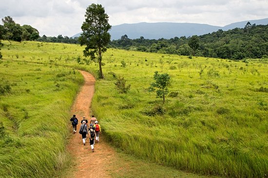 Parc national de Khao Yai