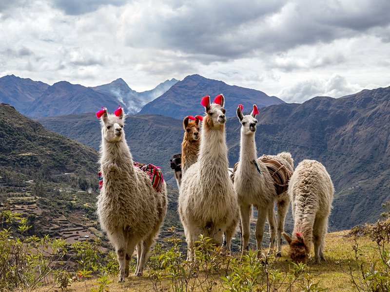 Lares Trek