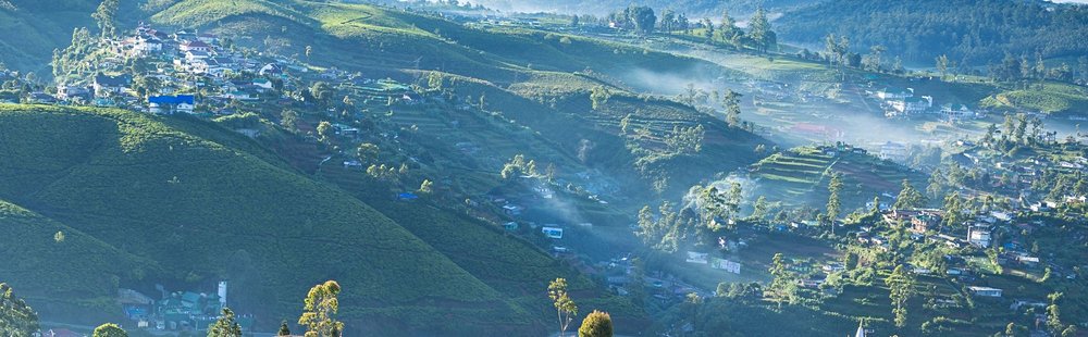 Randonnées à Nuwara Eliya