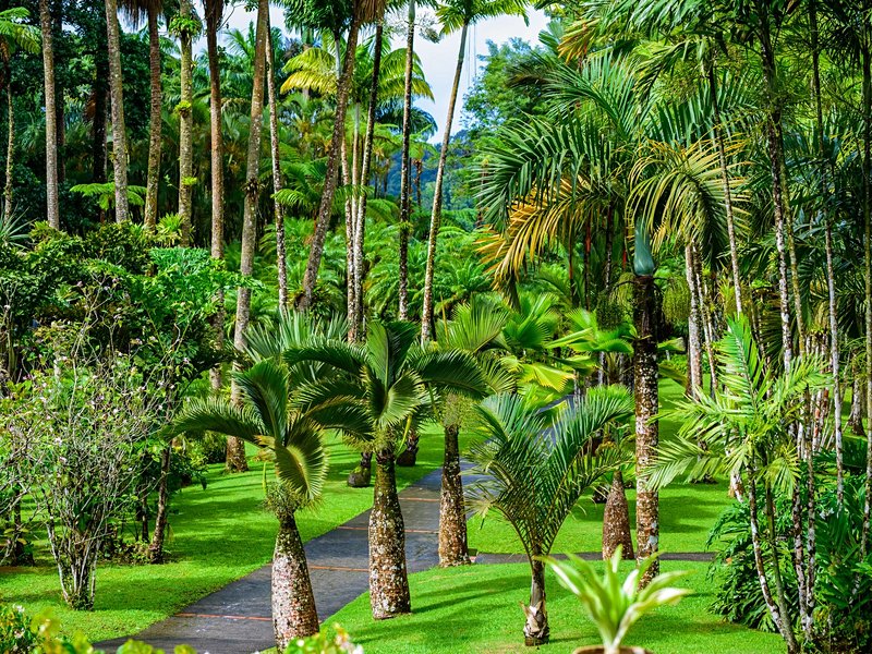 Jardin de Balata