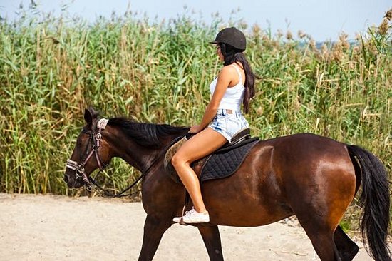Partir à la découverte de la Nouvelle-Calédonie à dos de cheval