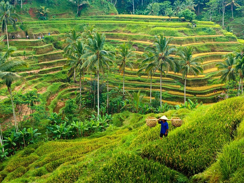 Bali