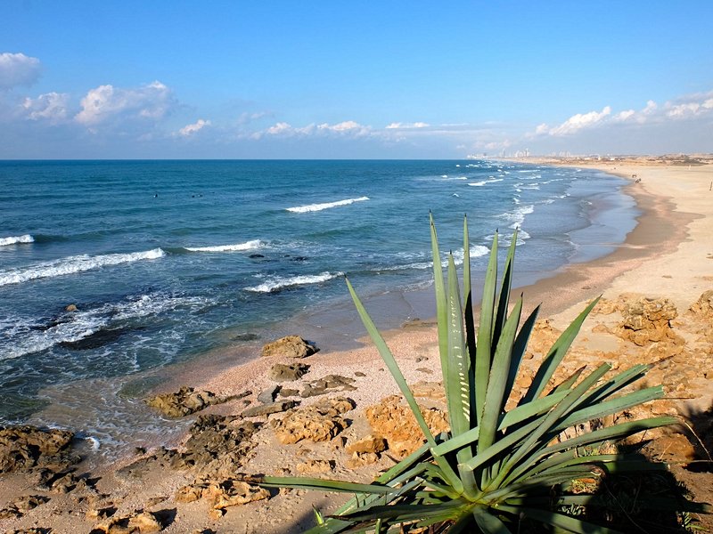 Palmachim, Méditerranée