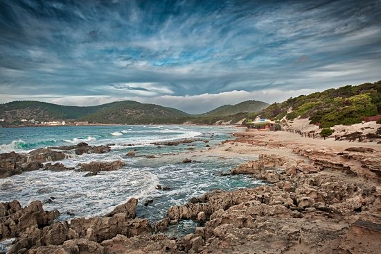 Réserve naturelle de Ses Salines