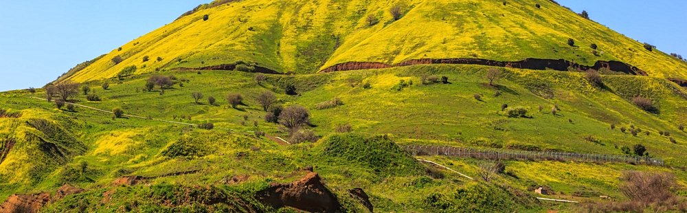 Le plateau du Golan