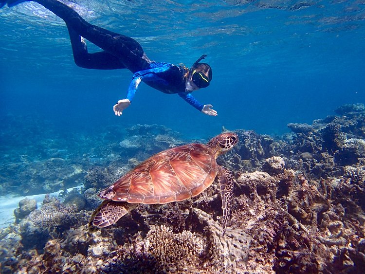 Ningaloo Reef
