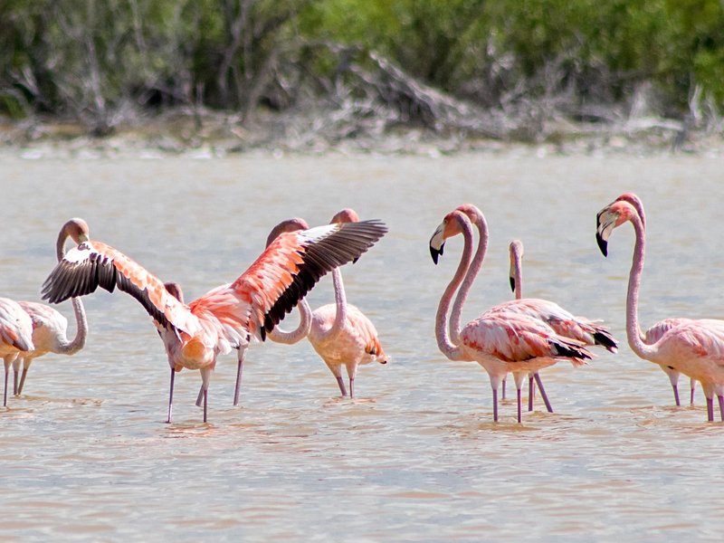 Parc national d'Inagua