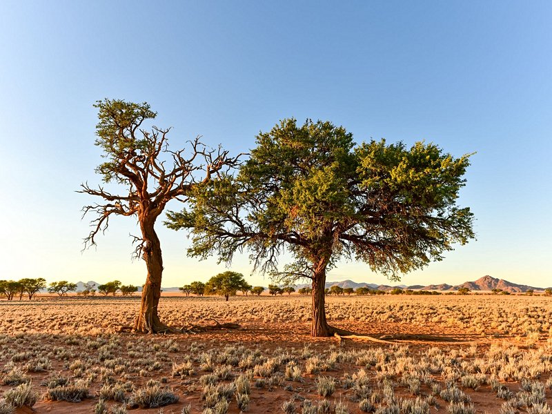 NamibRand Nature Reserve
