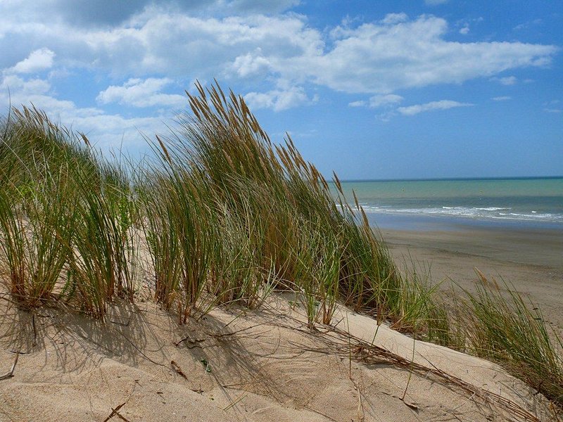 plage La plage du golf à Saint-Jean-de-Monts