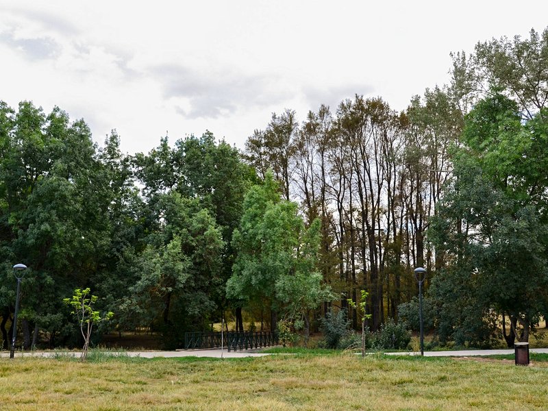 Parc national d'Ifrane