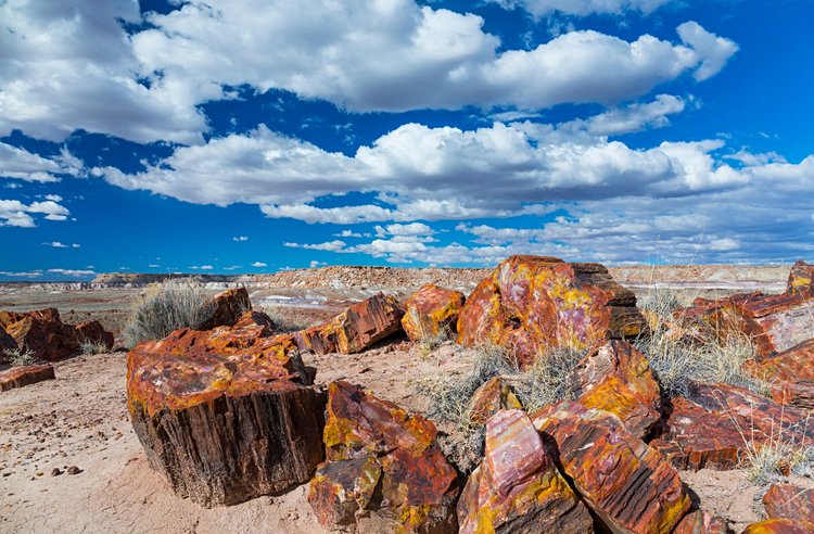 Petrified Forest, Arizona 2