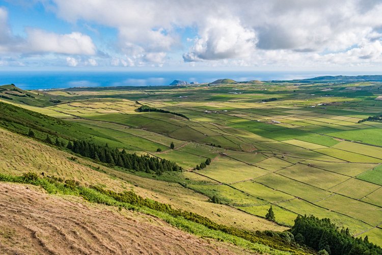 Serra do Cume, le camaïeu envoûtant 2