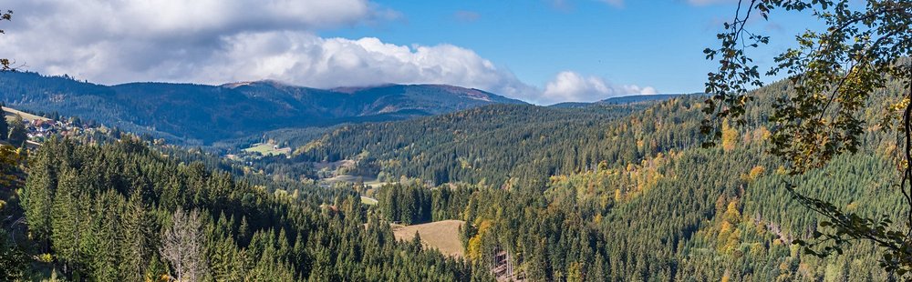 La rando panoramique : le Feldberg